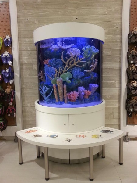 half cylinder aquarium